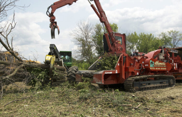 The Facts About Land Clearing